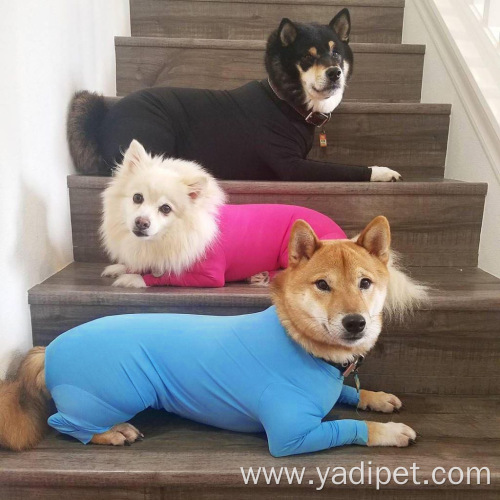 Fashion new designer invention pets clothes